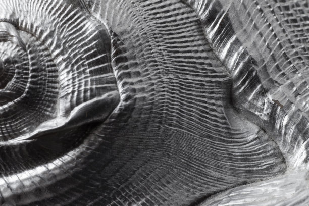 质地为银色皇冠海螺图片下载