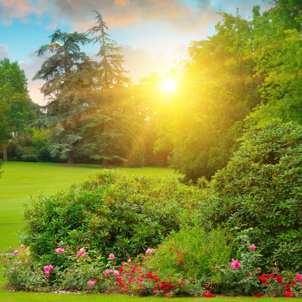 有鲜花和绿色草坪的舒适花园。图片下载