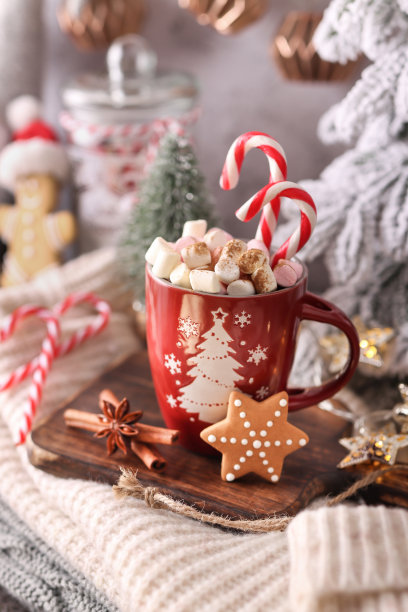 圣诞节和新年的温馨装饰。图片下载