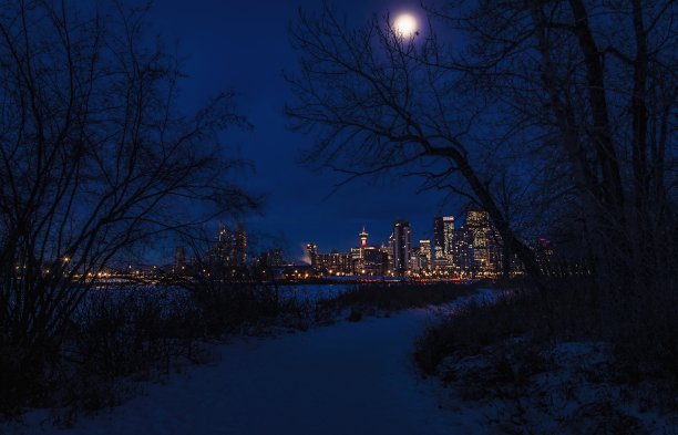 冬季公园里的城市夜景图片下载