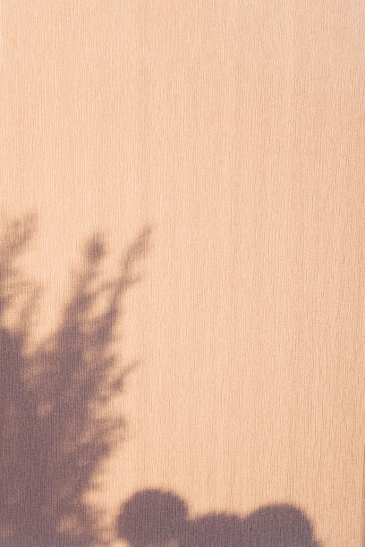 树叶的阴影和光在墙上的背景。深褐色的。图片下载