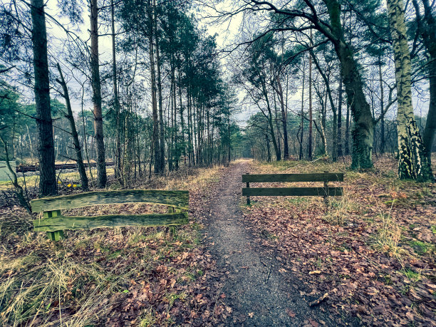 通往火车轨道旁森林小路的入口。图片下载