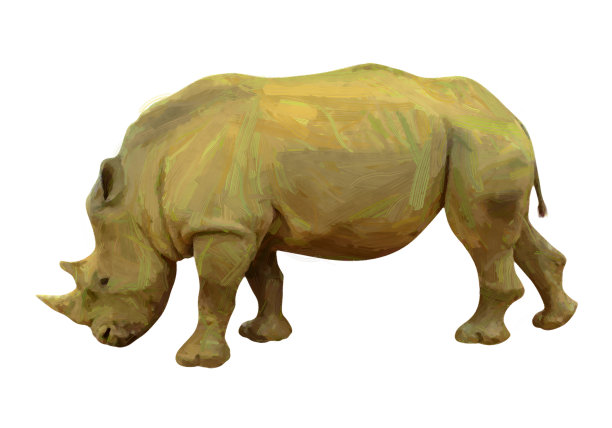 犀牛侧视图。油画。光栅彩色插图。图片下载