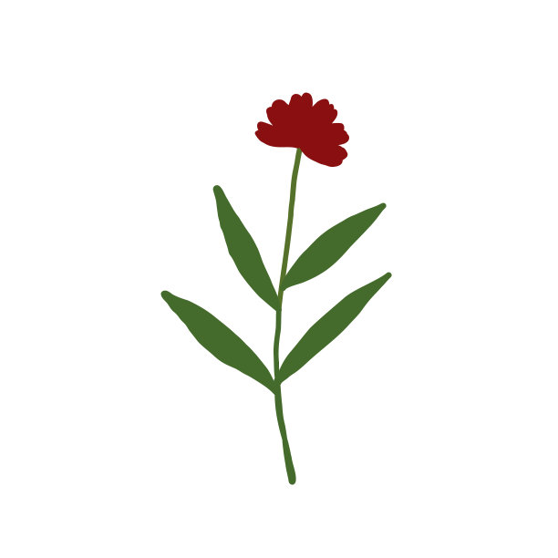抽象的红色野花孤立在白色背景上。野生花卉植物。草甸和草本植物。精致的春花插画手绘平面风格图片下载