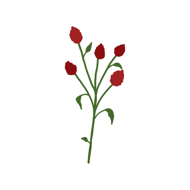 抽象的红色野花孤立在白色背景上。野生花卉植物。草甸和草本植物。精致的春花插画手绘平面风格图片下载