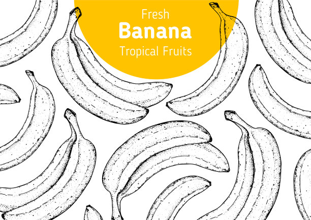 香蕉水果手绘框架。素描风格。矢量插图。设计、包装、宣传册插图。手绘香蕉水果设计模板。有机新鲜食品矢量插图。图片下载