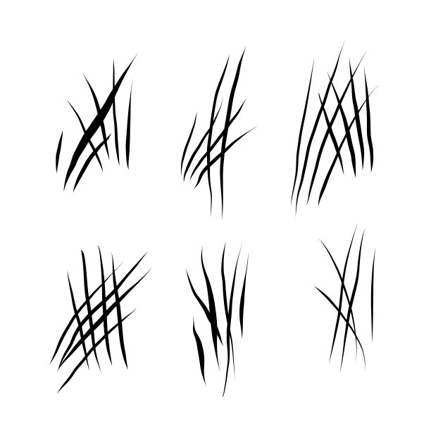 动物抓伤组图片下载