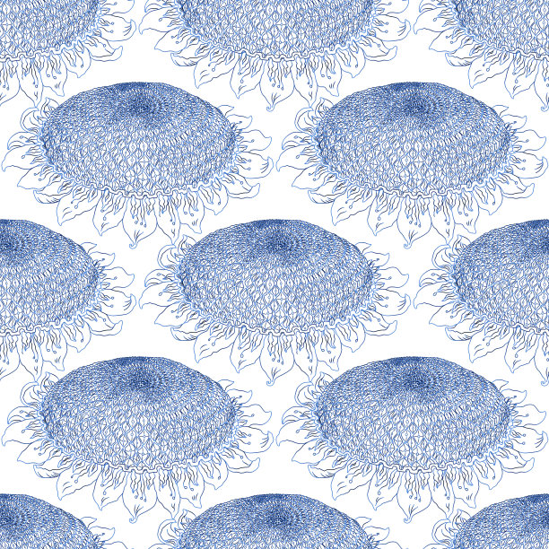 无缝模式与靛蓝色轮廓向日葵在白色背景。梦幻壁纸，纺织品印花，包装纸图片下载