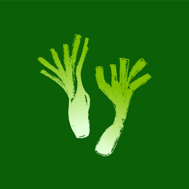 矢量洋葱鳞茎图标。铅笔手绘纹理。绿球茎韭菜插图孤立。图片下载