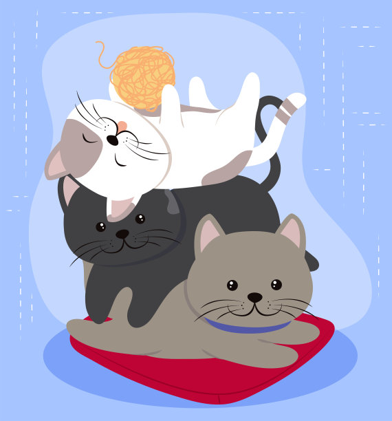 可爱的可爱的猫图片下载