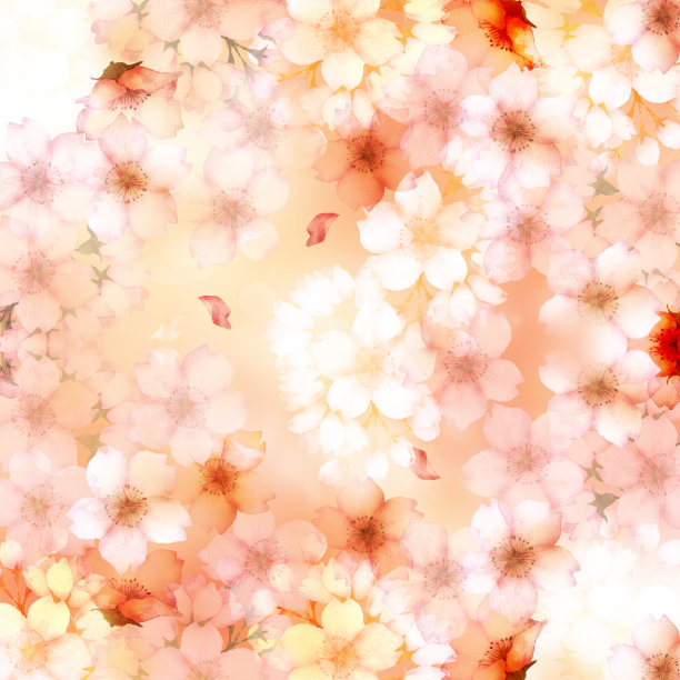 水彩粉红色樱花背景图片下载