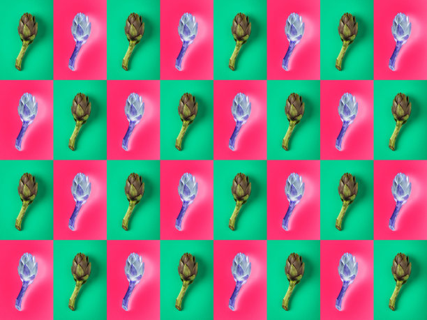 摘要彩色图案背景:洋蓟图片下载