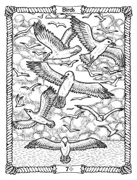 鸟卡从甲骨文老海军莱诺曼德甲板与飞行的海鸥和海浪。航海复古背景，着色书页面，t恤和纹身矢量图形，海盗冒险概念。图片下载