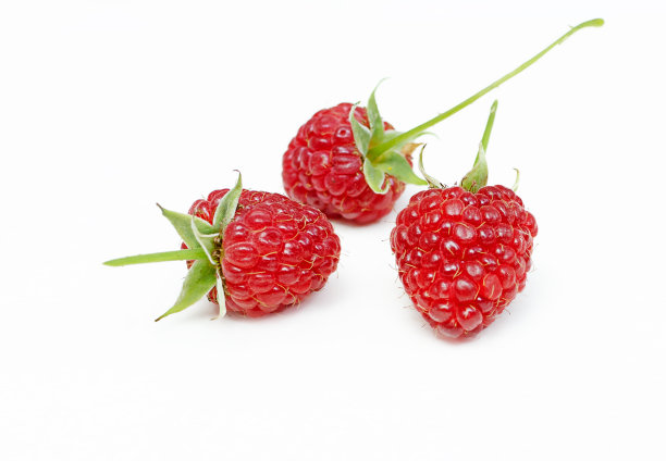 多汁的红莓图片下载