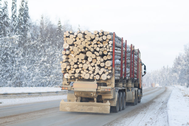 一辆伐木卡车在冬季高速公路上运送木材。图片下载