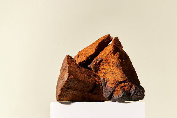 在柔和的背景上，天然的大块儿Chaga蘑菇(Inonotus obliquus)。图片下载