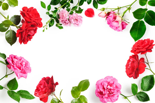 粉色和红色玫瑰的创意框架图片下载