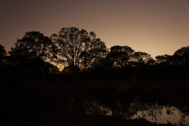 在墨西哥的一个池塘边，夜晚的天空出现了半月的残月，映照着树木，这些树木形成了棕褐色的森林图片下载