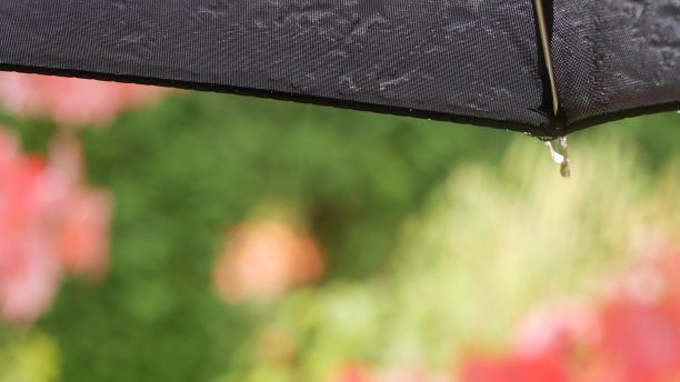 秋雨从黑色潮湿的伞下滴下。水滴细流。图片下载