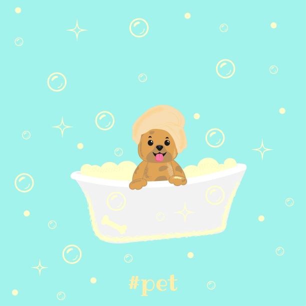 狗正在浴缸里洗澡。图片下载