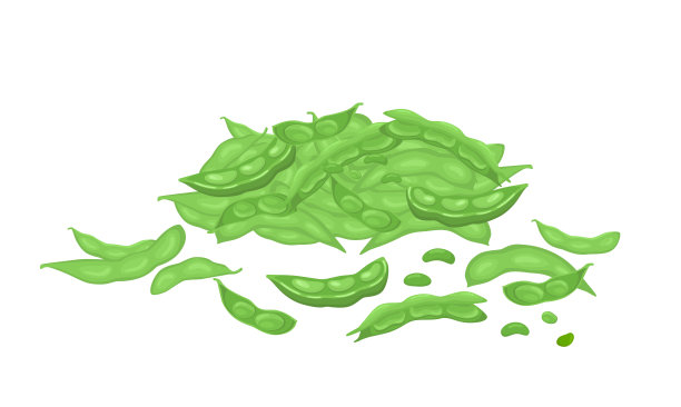 毛豆。图片下载