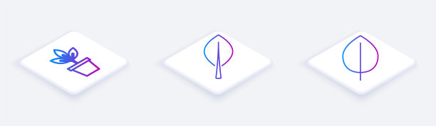 设置等距线花盆，叶片和叶片花。白色正方形按钮。向量图片下载