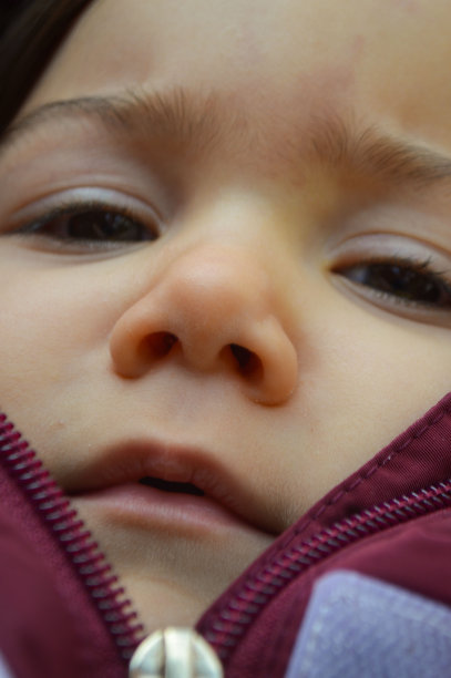 婴儿肖像图片下载