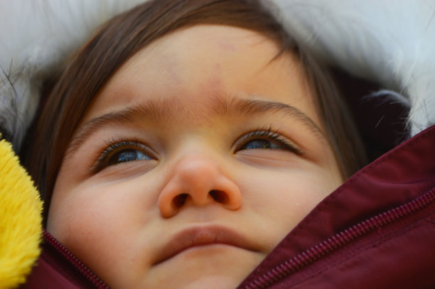 婴儿肖像图片下载