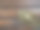 金孔雀羽毛。装饰用的镀金树枝，呈孔雀尾巴和孔眼形状。木制背景。节日装饰和美丽的嘉年华装饰。平铺复制空间图片下载