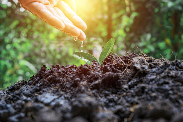 农民们正在用这种理念手工给小植物浇水图片下载