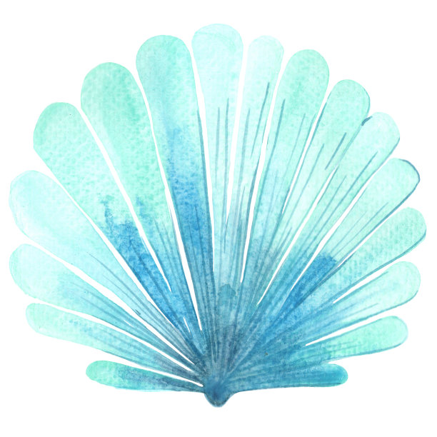 蓝色牡蛎和珍珠水彩插图装饰海洋生物和沿海生活。图片下载