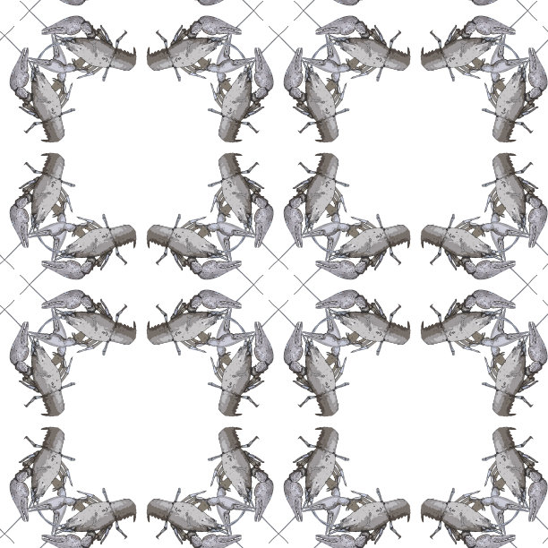 无缝图案与小龙虾在白色背景。没完没了的小龙虾口感。光栅插图。图片下载