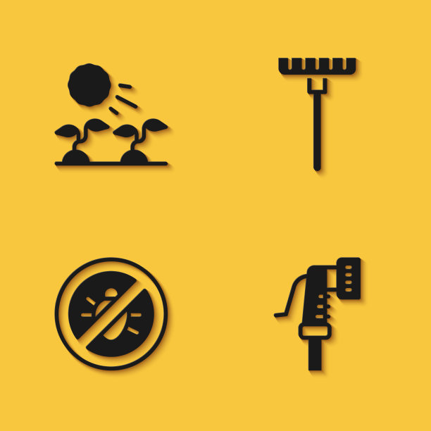 集植物芽生长在阳光花园软管图片下载