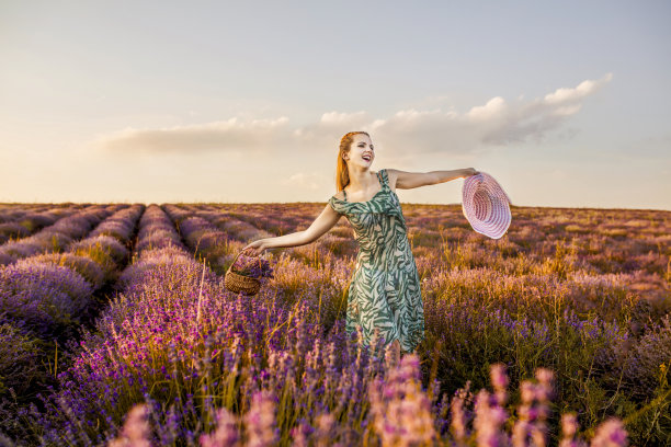 美丽的女人有乐趣的时间采摘薰衣草在薰衣草田中间图片下载