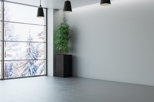 空的现代房间与冬天的观点图片下载
