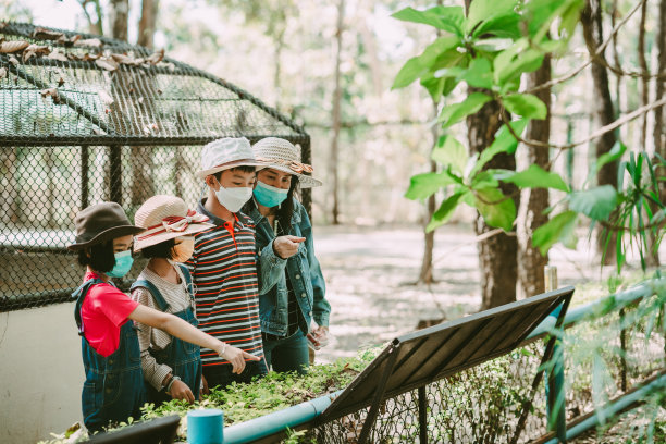 父亲和孩子们在蓝天下的草地上玩耍素材图片
