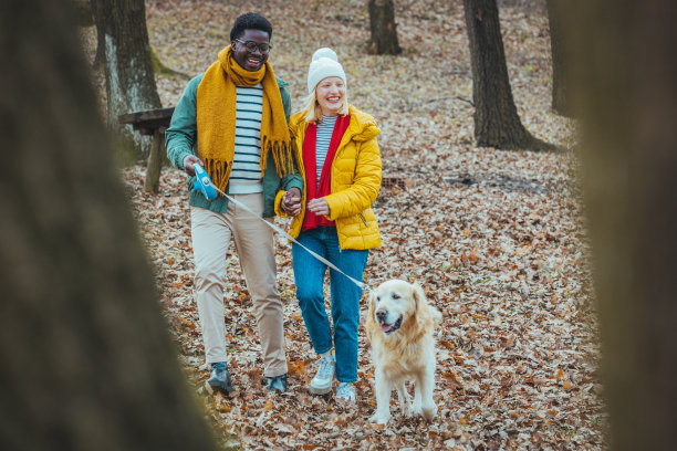 一对夫妇带着他们的狗狗公路旅行的照片图片下载