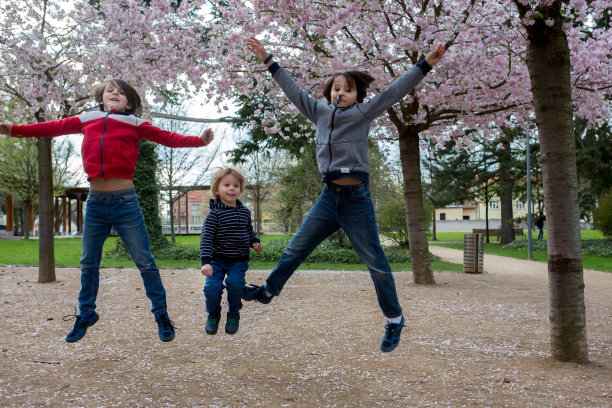 快乐的孩子们，兄弟姐妹们在粉红色盛开的樱花花园中嬉戏图片下载