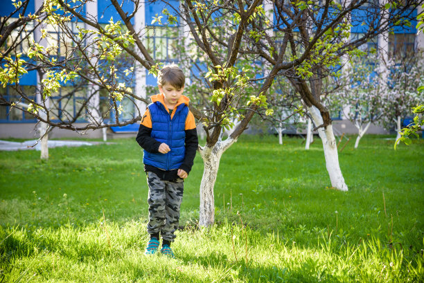 孩子们在春天的公园里收集彩绘装饰蛋。孩子们在户外寻找鸡蛋。节日家庭传统玩复活节游戏。篮子里有五彩缤纷的复活节彩蛋图片下载