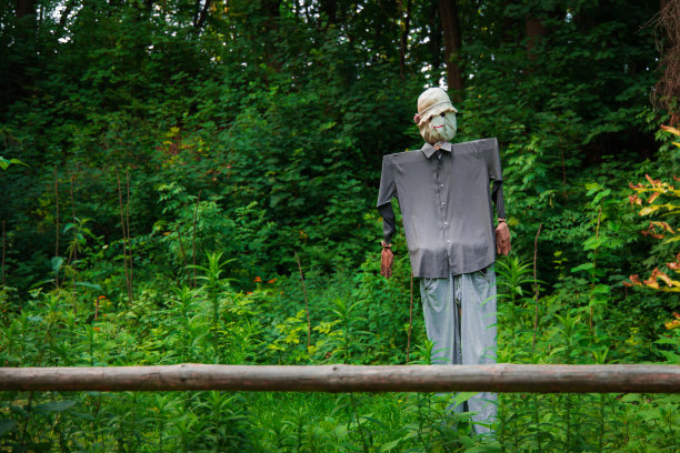 把农村农业环境空间的对象吓唬在花园后院，春日季节，栅栏不集中的前景图片下载