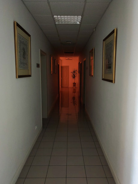 走廊的墙上挂着绘画，呈现出透视的效果。在走廊的尽头有一个花盆图片下载