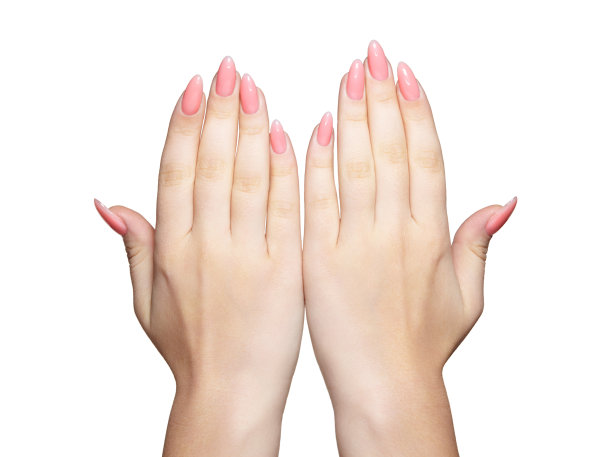 女性的手与女性的专业自然完美的指甲修甲隔离在白色的背景图片下载