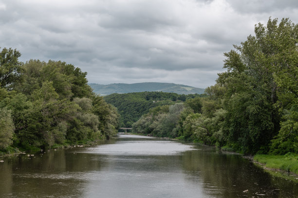 自然的景观。山河岸边有树图片下载