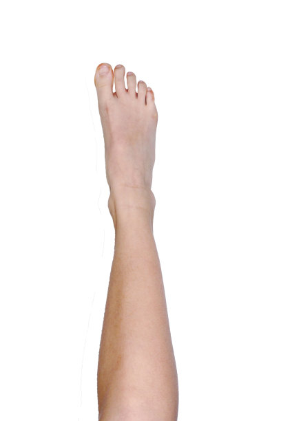 女性的腿在一个白色的背景特写图片下载