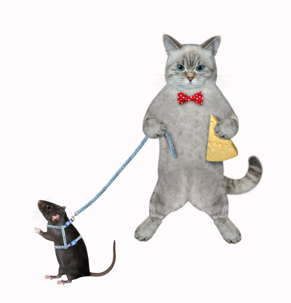 阿什用皮带拴住老鼠图片下载