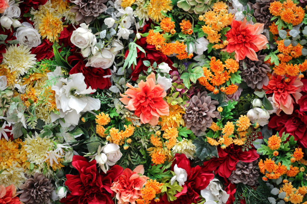 照片为背景材料的彩色墙壁装饰了许多人造花图片下载