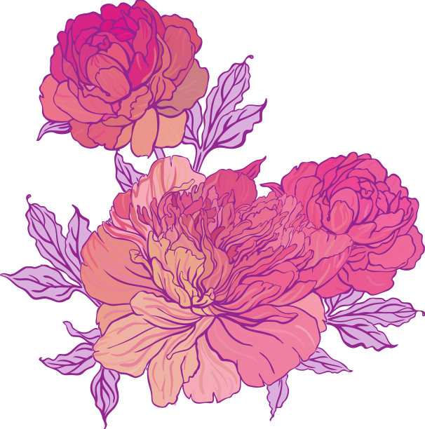 美丽的牡丹花束设计在米色的背景图片下载