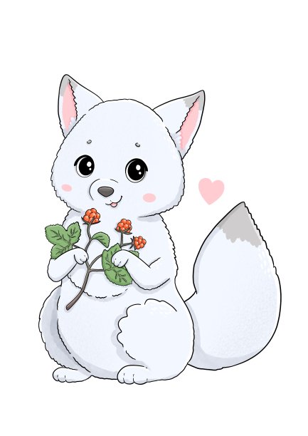 可爱的北极狐和cloudberry图片下载