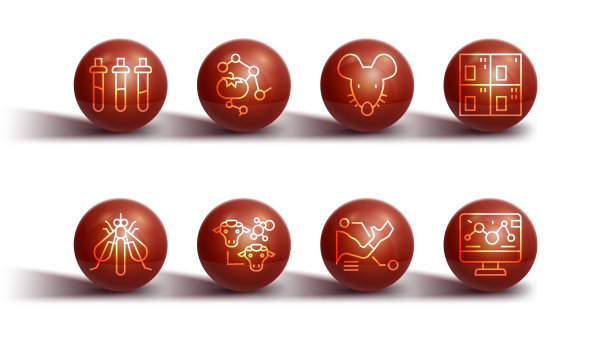 设置线试剂瓶实验昆虫图片下载