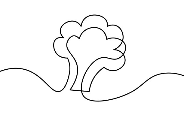 一条花椰菜茎。黑白单色连续单线艺术。素食自然有机农贸市场插画草图草图图片下载